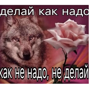 Стикер 24 из набора Жиза
