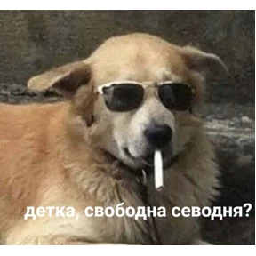 Стикер 30 из набора Жиза