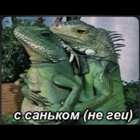 Стикер 31 из набора Жиза