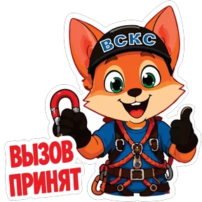 ВСКС: время сильной команды спасателей ❤️‍🔥