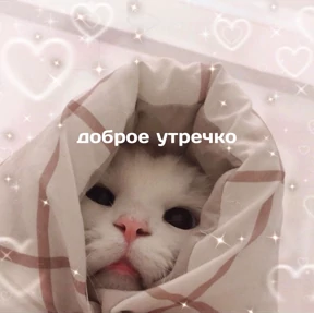 Стикер 27 из набора кисы