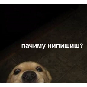 Стикер 22 из набора Животные