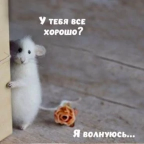 Стикер 24 из набора Животные
