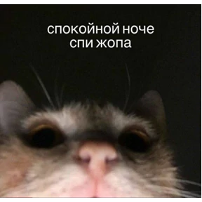 Стикер 23 из набора Животные