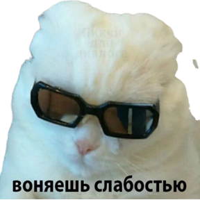 Стикер 27 из набора Животные