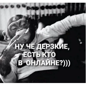 Стикер 25 из набора Животные