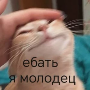 Стикер 28 из набора Животные