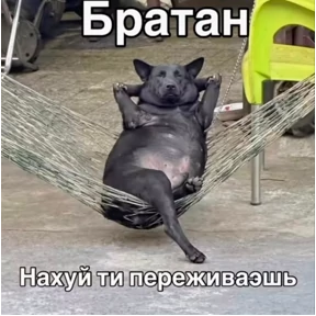Стикер 30 из набора Животные
