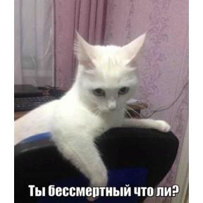Стикер 29 из набора Животные