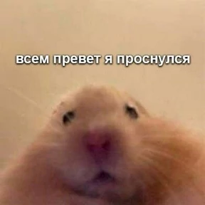 Стикер 31 из набора Животные