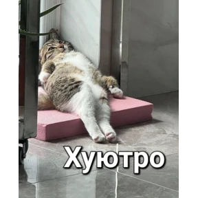 Стикер 33 из набора Животные