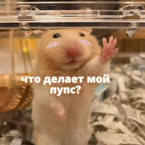 Стикер 37 из набора Животные