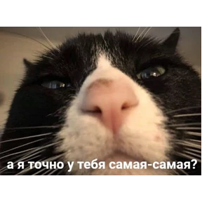 Стикер 40 из набора Животные