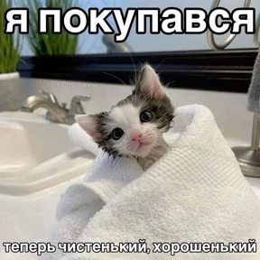 Мем — стикер для MAX