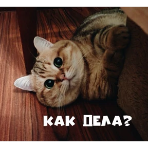 Стикер 20 из набора Ку