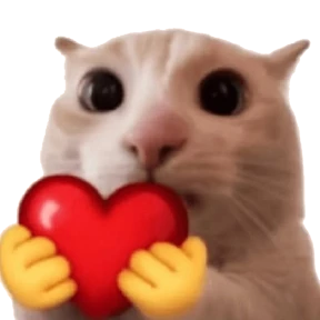 КОТИ — стикер для MAX