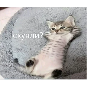Стикер 12 из набора Пу пу пу