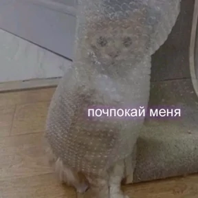 Стикер 37 из набора Просто