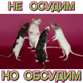 Стикер 76 из набора Дианское