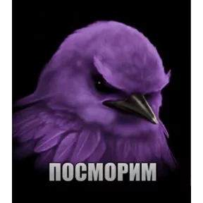 Стикер
