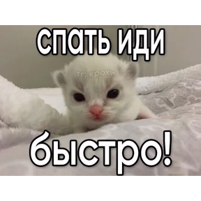 Мем — стикер для MAX