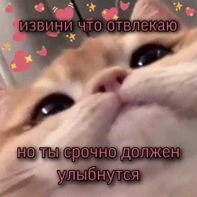 Мем — стикер для MAX