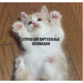 Мем — стикер для MAX