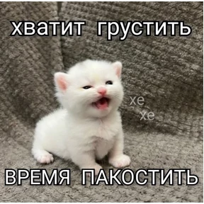 Стикер 61 из набора Для важных переговоров