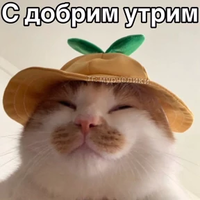 Стикер 21 из набора Доброва утра
