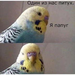 Стикер 34 из набора Lerony