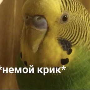 Стикер 36 из набора Lerony