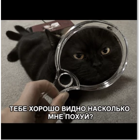 Стикер 39 из набора Lerony