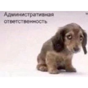 Стикер 54 из набора любвеобильный бревномет