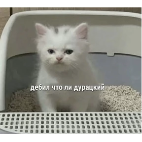 Стикер 16 из набора Чево