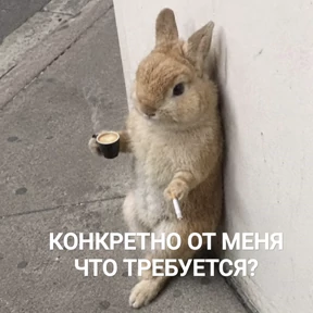 Стикер 29 из набора rrollfr