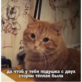 Стикер 42 из набора Ответочка