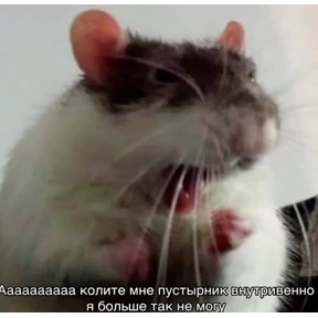 Стикер 43 из набора Ответочка