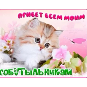 МИГЕРА 2.0.2 — стикер для MAX