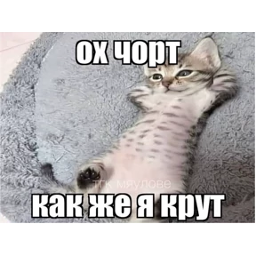 Стикер 75 из набора набор сашки прониной