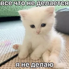 Фото — 1 сентября 2026 г. в 19:00:00.438