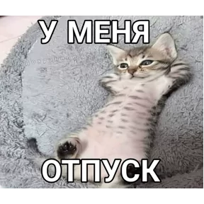 Фото — 4 августа 2026 г. в 15:00:06.655