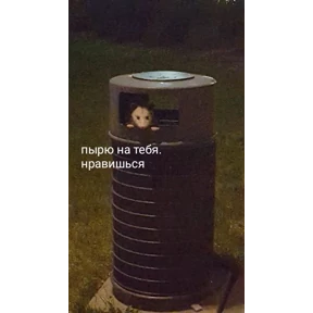 Стикер 8 из набора Озабочка