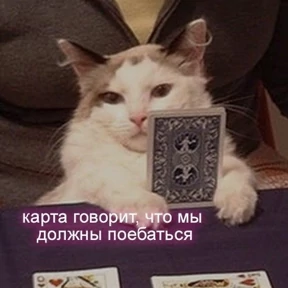 Стикер 10 из набора Озабочка