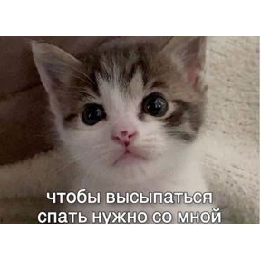 Стикер 11 из набора Озабочка