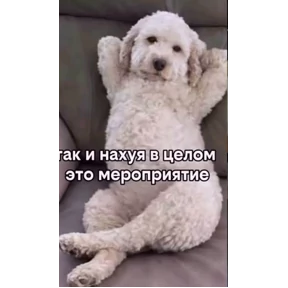 Стикер 11 из набора Топ подборка