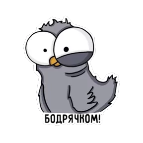 Стикер