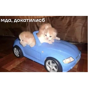 Стикер 19 из набора Чево