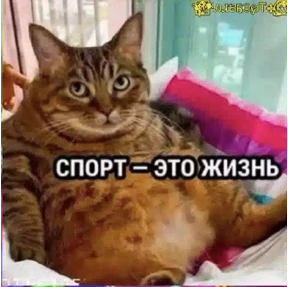 Стикер 31 из набора Шо?