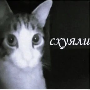 Стикер 22 из набора Чево