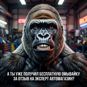 Стикер